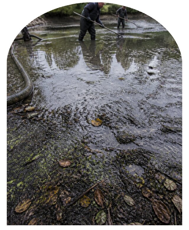 Очистка пруда в Балашихе от ила мусора и водорослей с вывозом
